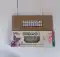 Colour Changing Buttefly (10pcs)